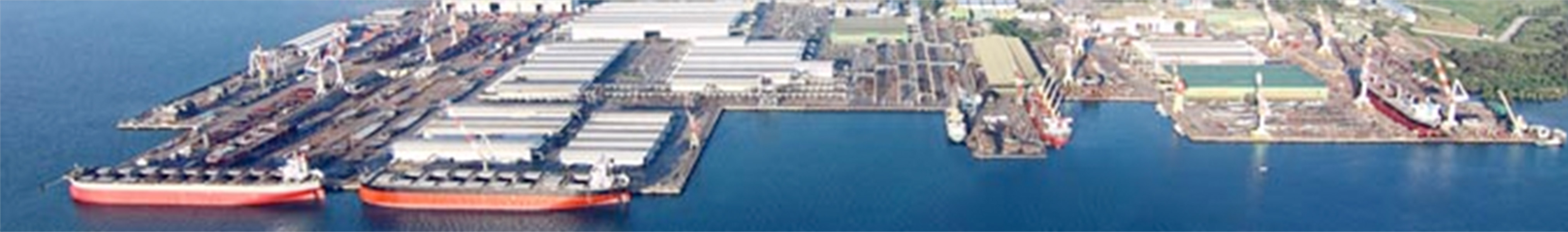 TSUNEISHI HEAVY INDUSTRIES (CEBU), Inc.