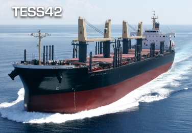 TESS42